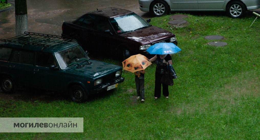 Стало известно, какой будет погода в Могилевской области в начале следующей недели