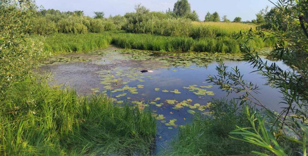 Еще одна гибель на воде. В Быховском районе утонул пенсионер