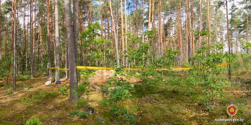 В Кличевском районе обнаружены останки семнадцати мирных граждан, захороненных во время войны