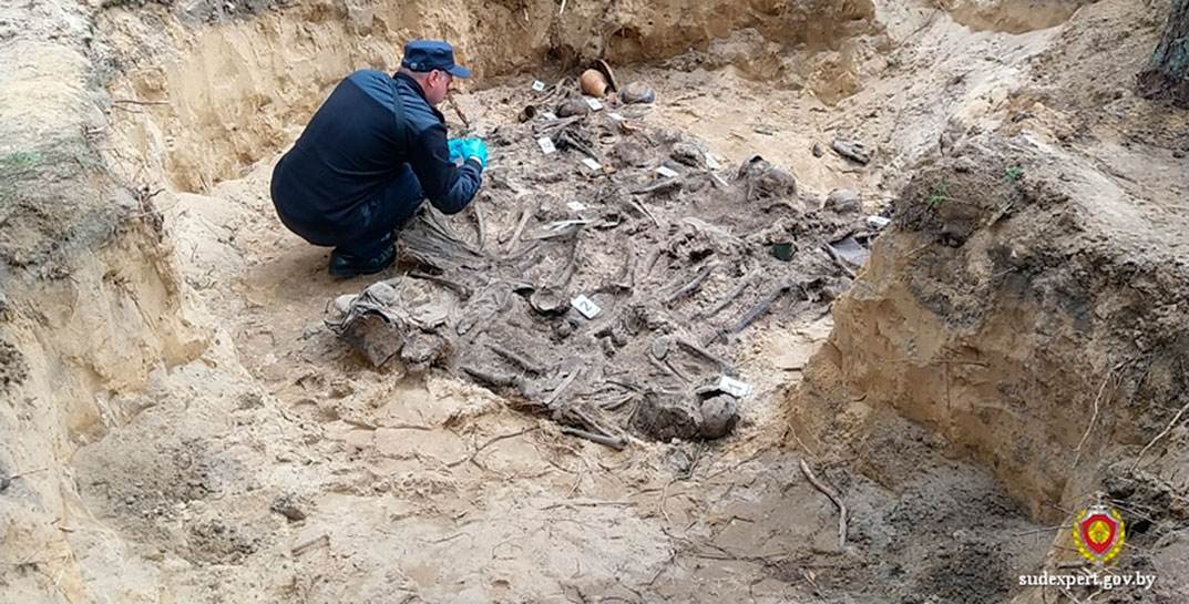 В Кличевском районе обнаружены останки семнадцати мирных граждан, захороненных во время войны
