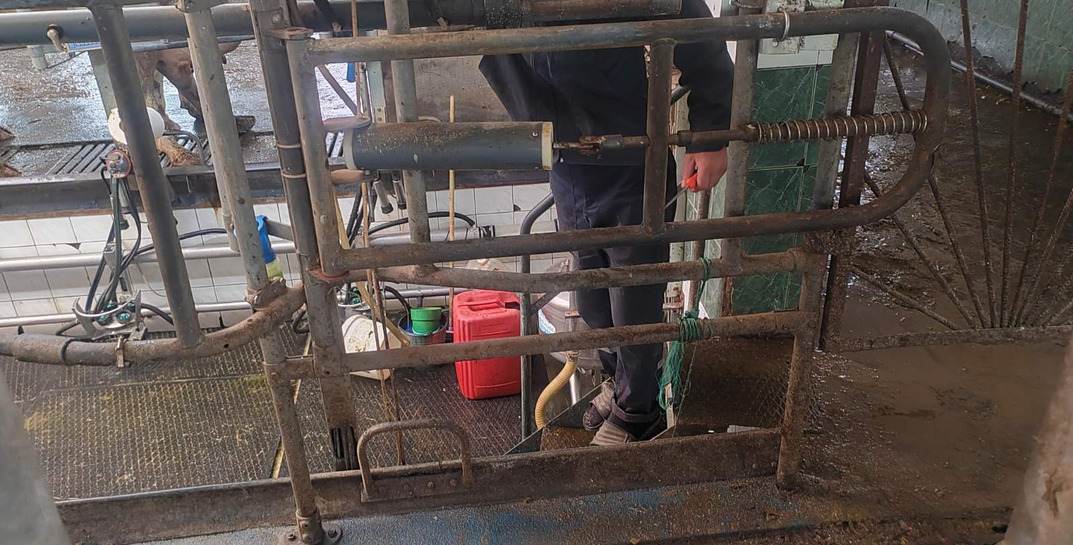 В Кировске мужчину зажало в автоматической кормушке для коров