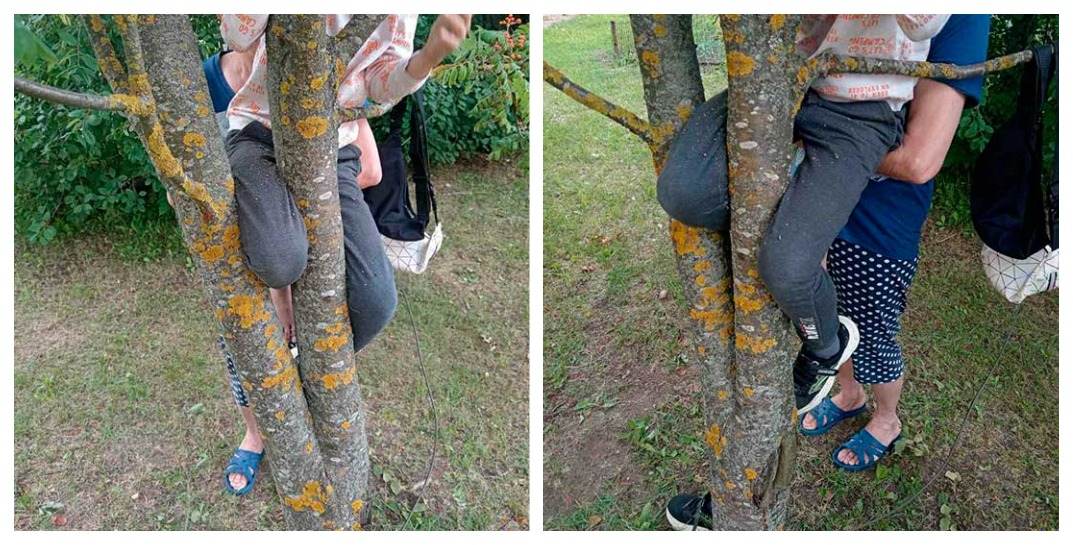 В Круглом ребенок застрял ногой в дереве, да так крепко, что освободить смогли только спасатели