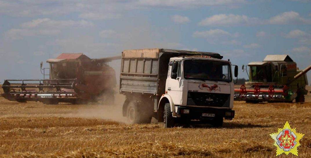Белорусских военных бросили на битву за урожай в Могилевской области