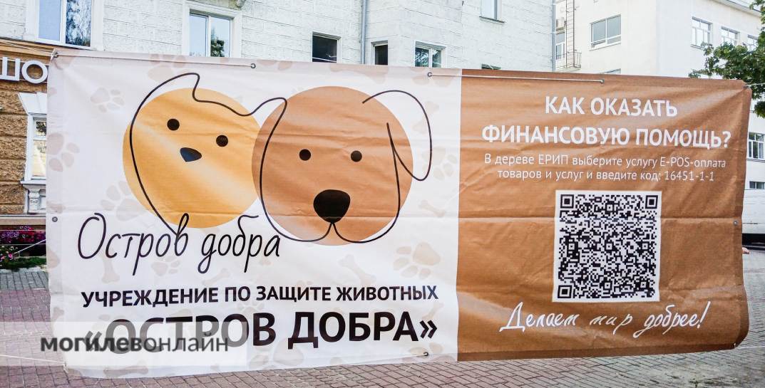 В Могилеве прошел благотворительный концерт в помощь бездомным животным. Посмотрели, как это было