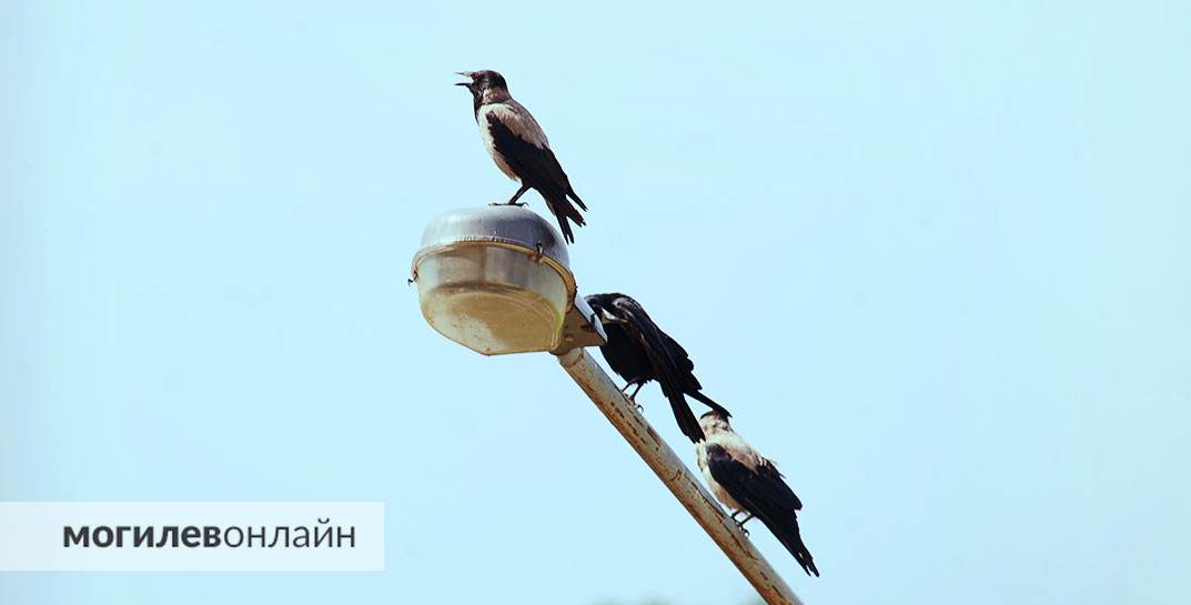 До пятницы дожди, в конце недели — жара до +36°С