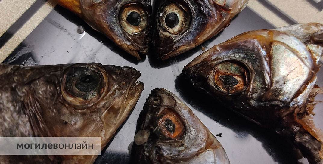 Российский производитель поставлял в Беларусь зараженную паразитами рыбу