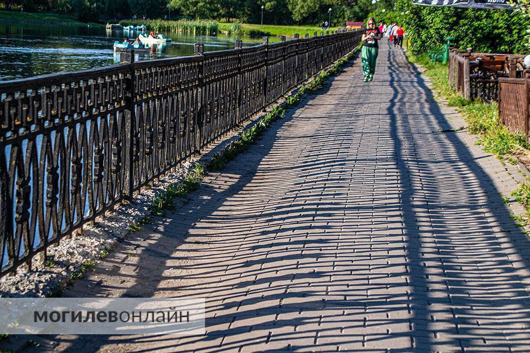 Могилевчанка пожаловалась на неблагоустроенность набережной реки Дубровенка помощнику Лукашенко по Могилевской области. Посмотрели, что происходит на территории