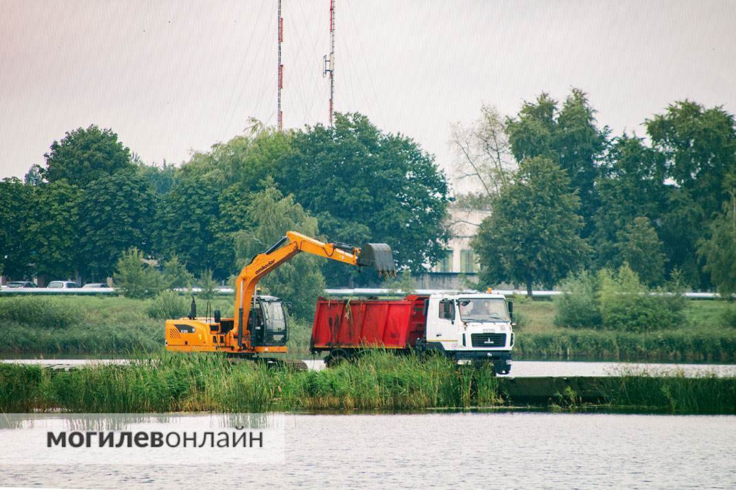 Очистка Святого озера в Могилеве идет полным ходом. Побывали не месте событий