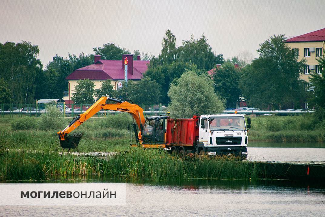 Очистка Святого озера в Могилеве идет полным ходом. Побывали не месте событий