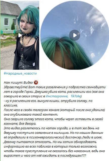 Девушка из Горок продемонстрировала в соцсетях, как варит голову кота — ее жуткий перфоманс подписчики не оценили
