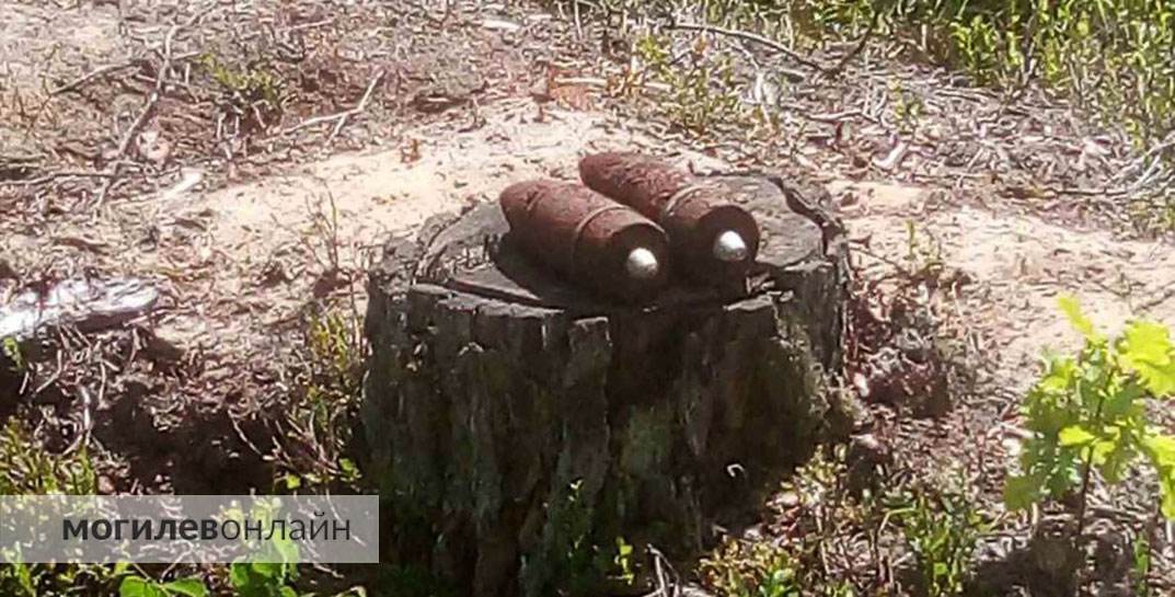 В Дрибинском районе нашли старые боеприпасы