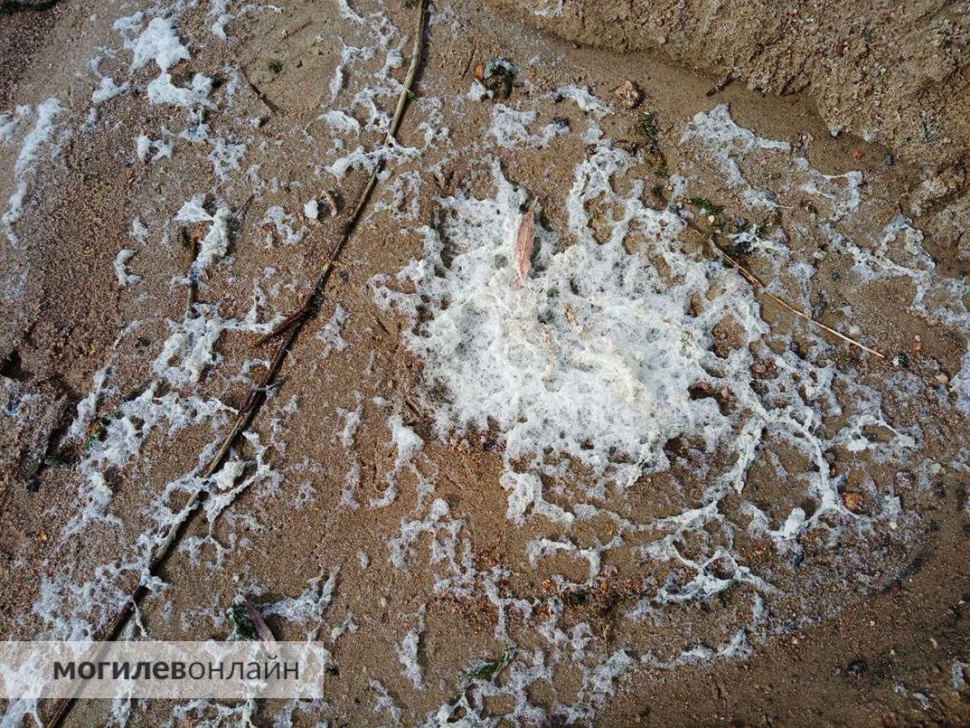 Фотофакт: на берегу Святого озера появилась бело-серая пена неизвестного происхождения