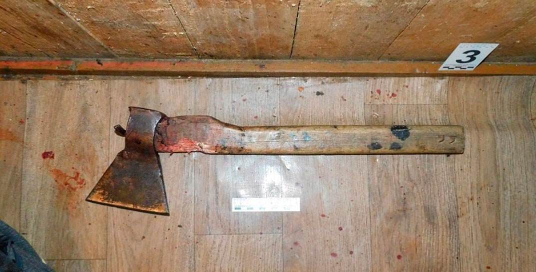 Жуткое убийство в Белыничском районе — пенсионер зарубил своего случайного гостя топором