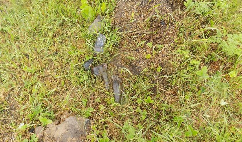 Взрыв снаряда в Бобруйске