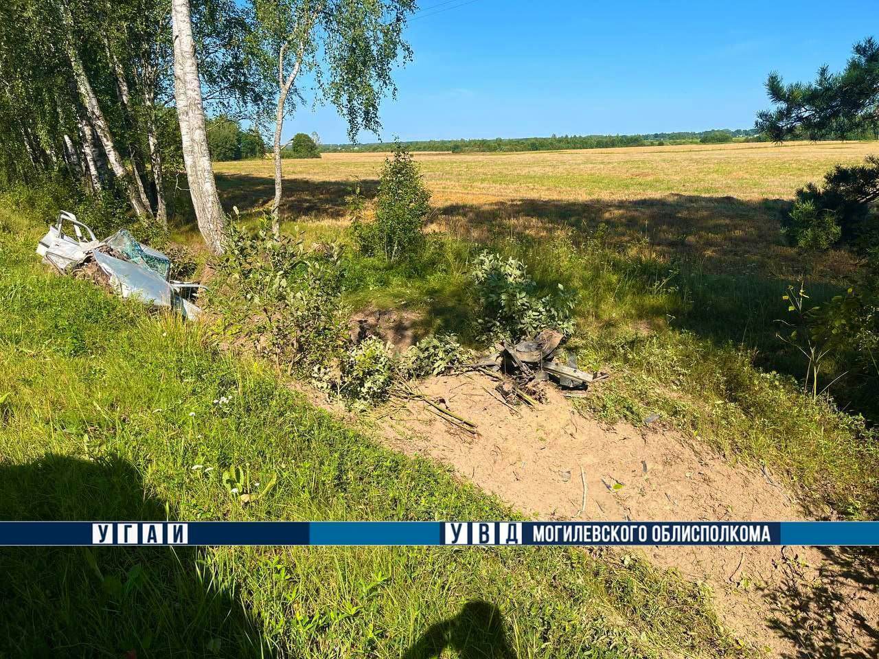 ДТП возле Липовки Хотимский район