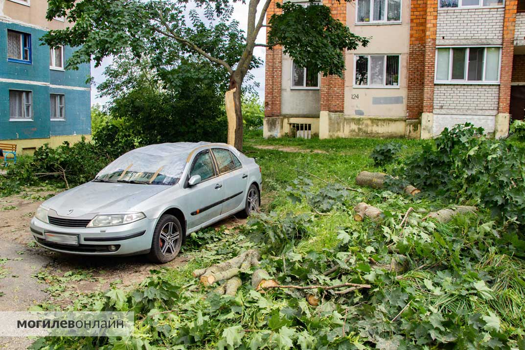 Последствия бури в Могилеве