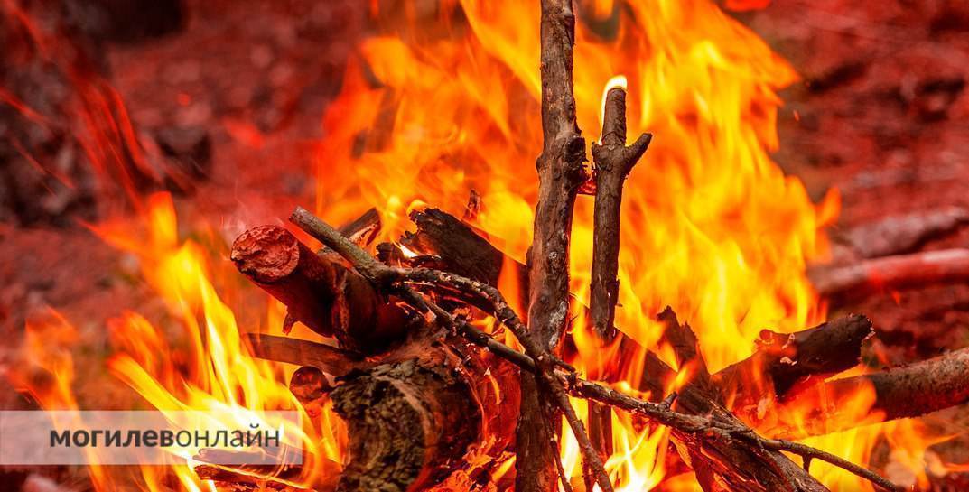 В Белыничском лесхозе произошел крупный лесной пожар, который тушили более 130 человек
