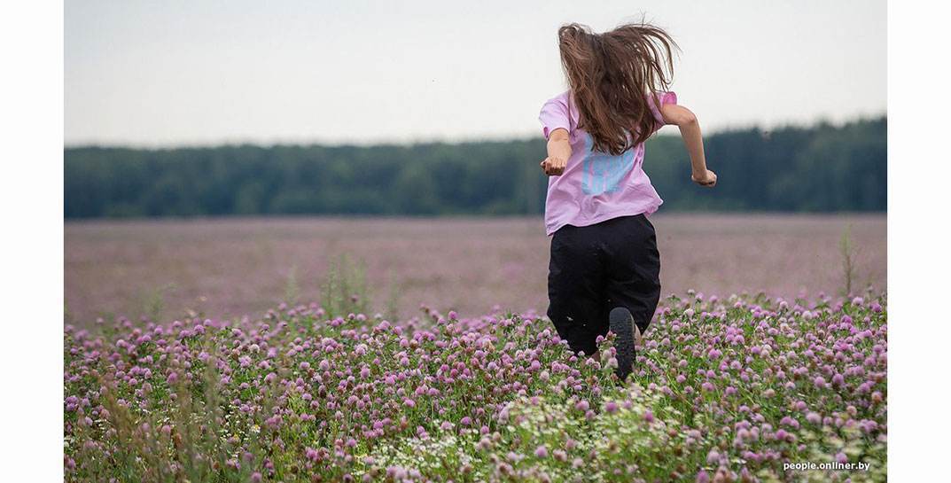 Альтернатива лавандовому полю нашлась в Могилевской области — поле с цветущим клевером. Видели такое?
