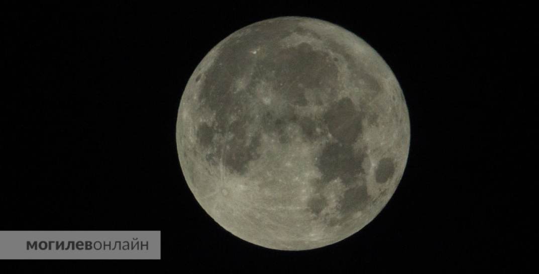 Могилевский фотограф сделал завораживающие снимки «голубой Луны»