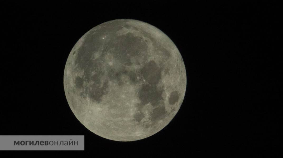 Самая редкая Луна. Завораживающие фото Луны вокруг деревьев. Изображение новолуние чб 8к. Луна 2 000