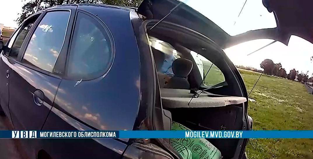 Три месяца воровал муку и кукурузу — животновод в Кличевском районе украл на работе 300 кг кормовых смесей