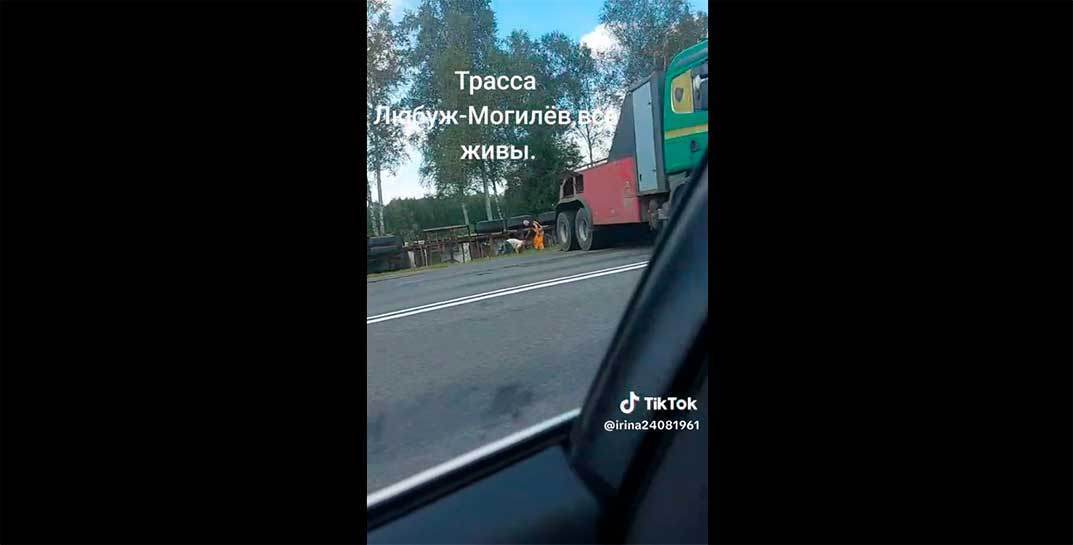 На трассе Любуж-Могилев перевернулась фура