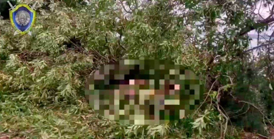 В Минской области во время непогоды вырванное порывом ветра дерево убило мужчину