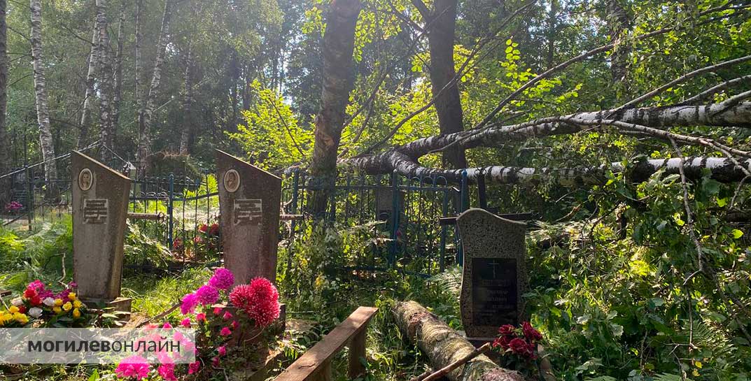 Посмотрите, что натворила стихия на кладбище в деревне Реполово Шкловского района