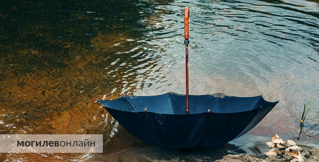 В начале следующей недели на Могилевщину снова накатит жара. Но с дождями