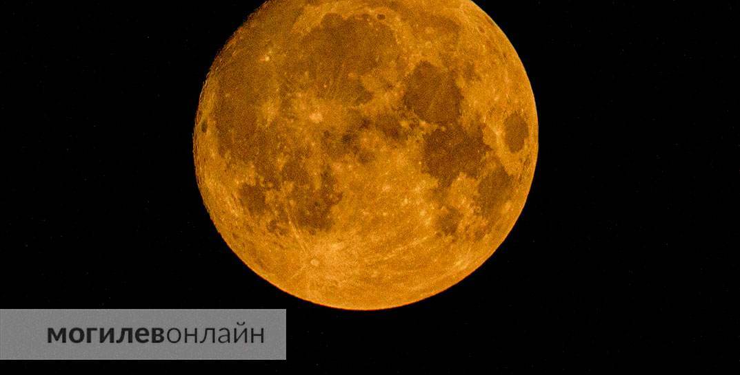 Сегодня ночью белорусы наблюдали суперлуние. Посмотрите, какая Луна была в Могилеве