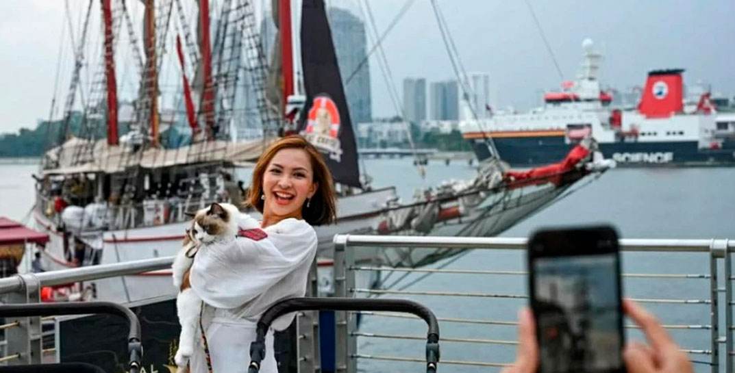 В Сингапуре запустили кошачьи круизы — стоимость билета 166$ за два с половиной часа удовольствия