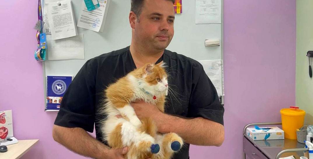 В Лиде показали кота Кузю с титановыми лапками и рассказали о его тяжелой судьбе