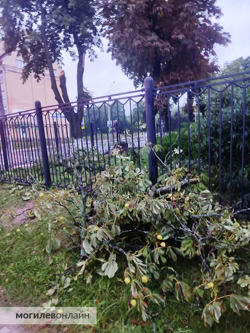 После вчерашнего тайфуна электричества не было в 13 населенных пунктах области, а на уборку упавших деревьев МЧС выезжало 18 раз