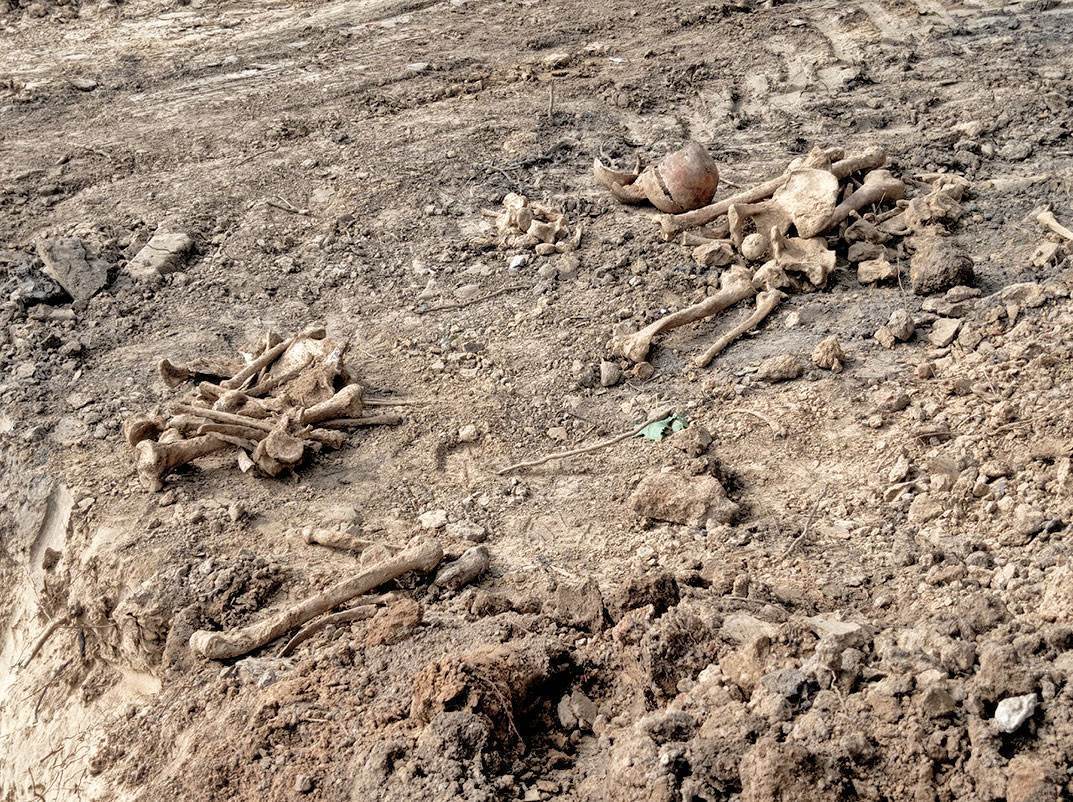 «На глубине примерно 1,5 метра стали проступать детские и взрослые скелеты» — на стройке в Дзержинске нашли останки более 100 человек, лежащих друг над другом