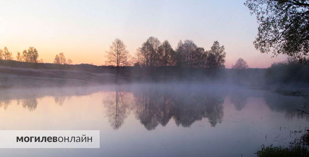 Посмотрите, как красивы утренние туманы на Могилевщине