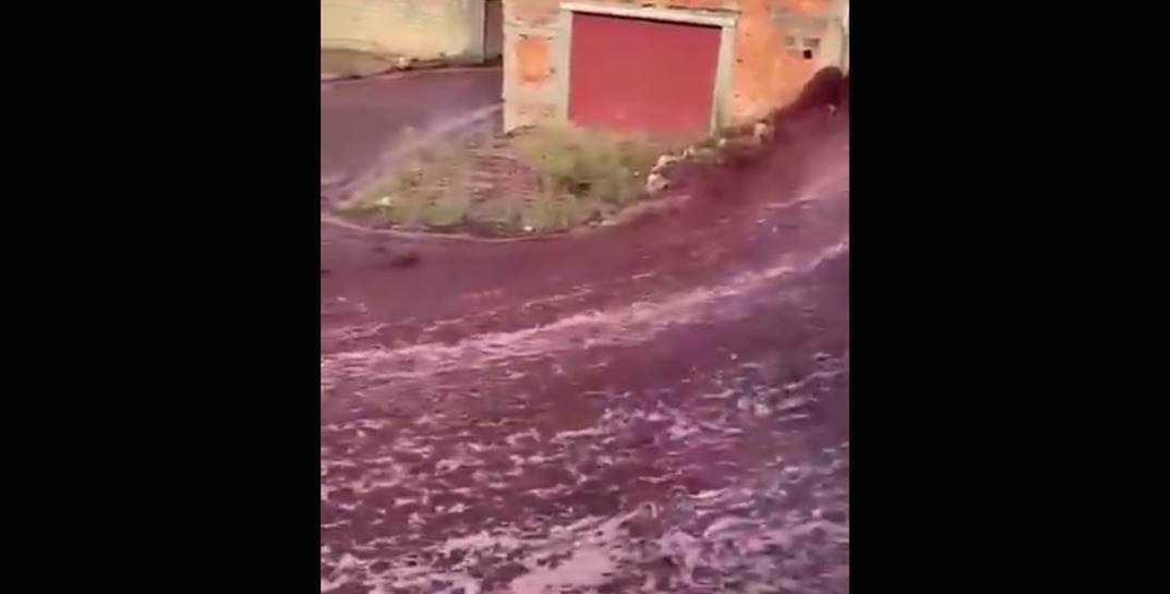 В португальской Анадии лопнули резервуары на винокурне — в городе случился настоящий потоп из вина