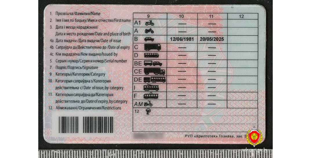 Автомобильные номера прикрыл одеялом и ездил по поддельным правам — сотрудники ГАИ разоблачили гродненца с фальшивым удостоверением. Как наказали?