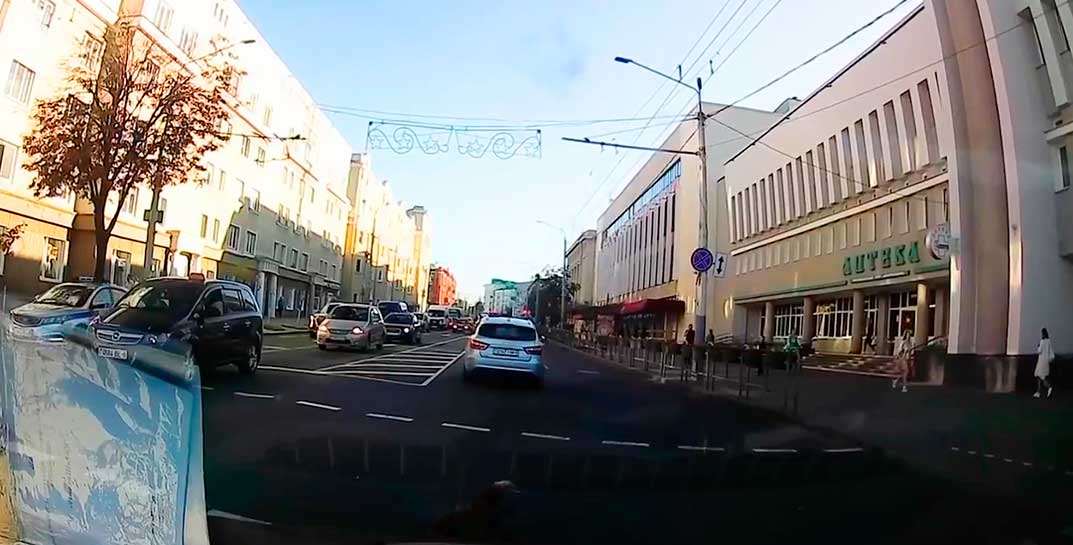 Жесткое видео: в центре Могилева водитель сбил собаку и оставил умирать. ГАИ разыскала виновника ДТП