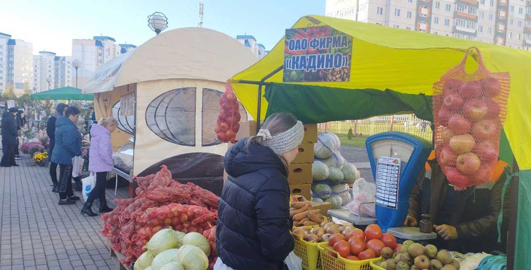 Сельхозярмарки пройдут в Могилеве 23-24 сентября. Где можно выгодно закупиться на зиму?
