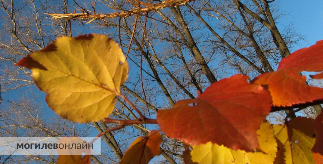 Осень наступит в воскресенье. Прогноз погоды на выходные