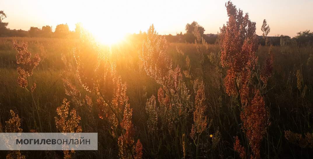 В Беларуси, говорят, кое-где начнет уже холодать. А в Могилеве — все еще нет. Прогноз погоды на пятницу, 29 сентября