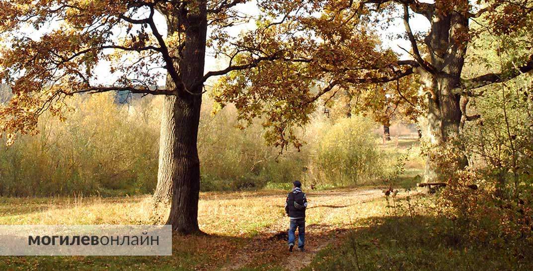 Бабье лето упорно не желает уходить. Погода в Могилеве на 28 сентября