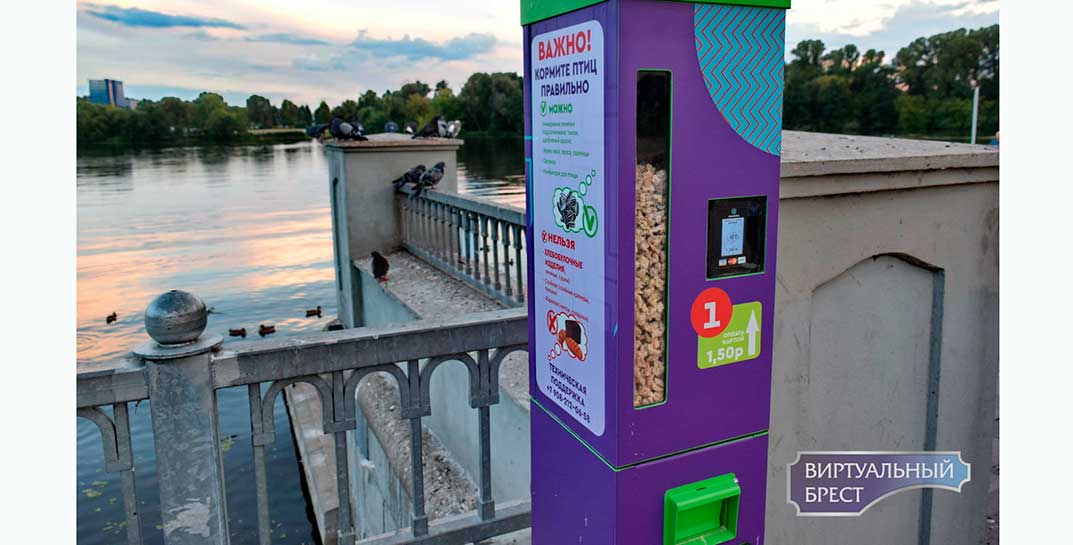 В Бресте появился автомат, который продает корм для уток. Как вам идея для Могилева?