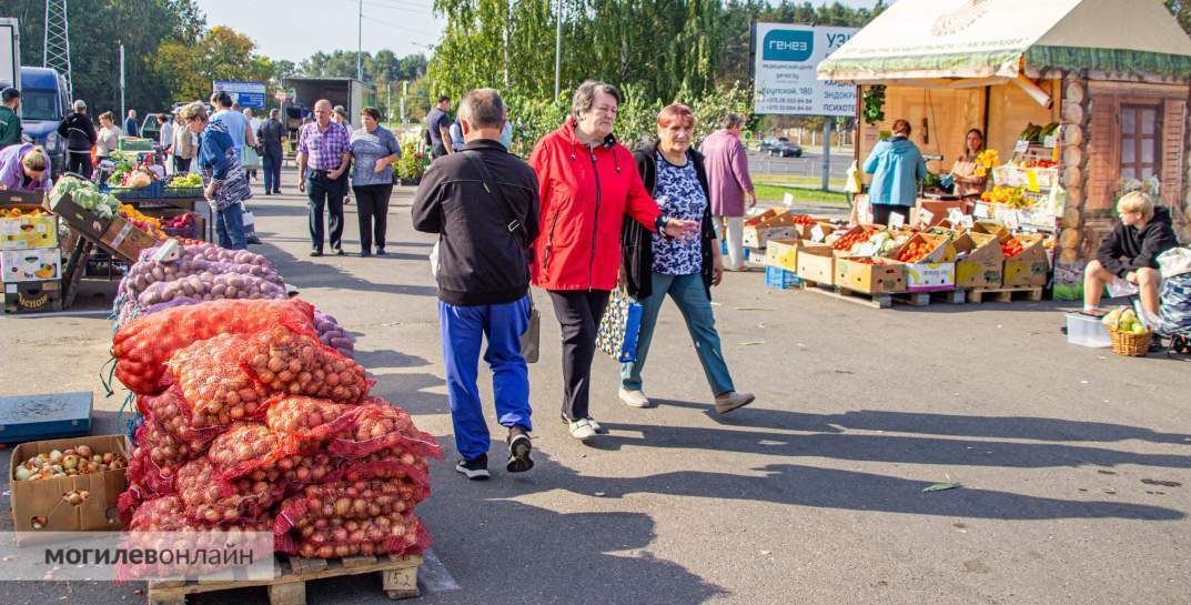 «Картофель — от 55 копеек за кг, есть доставка». Сходили на осенние ярмарки в Могилеве и узнали, что почем