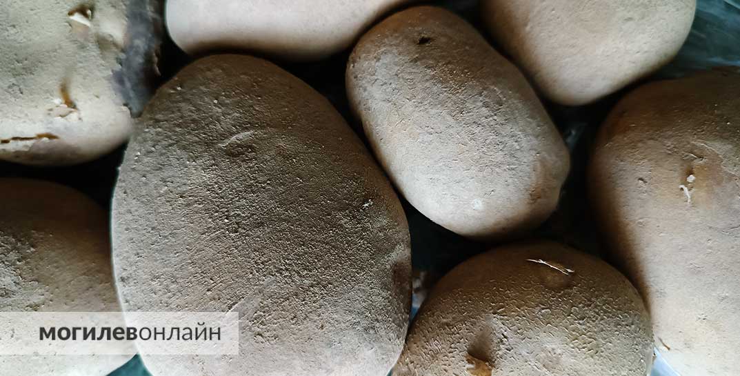 Два жителя Владивостока отравились насмерть испарениями картошки. Такое возможно?