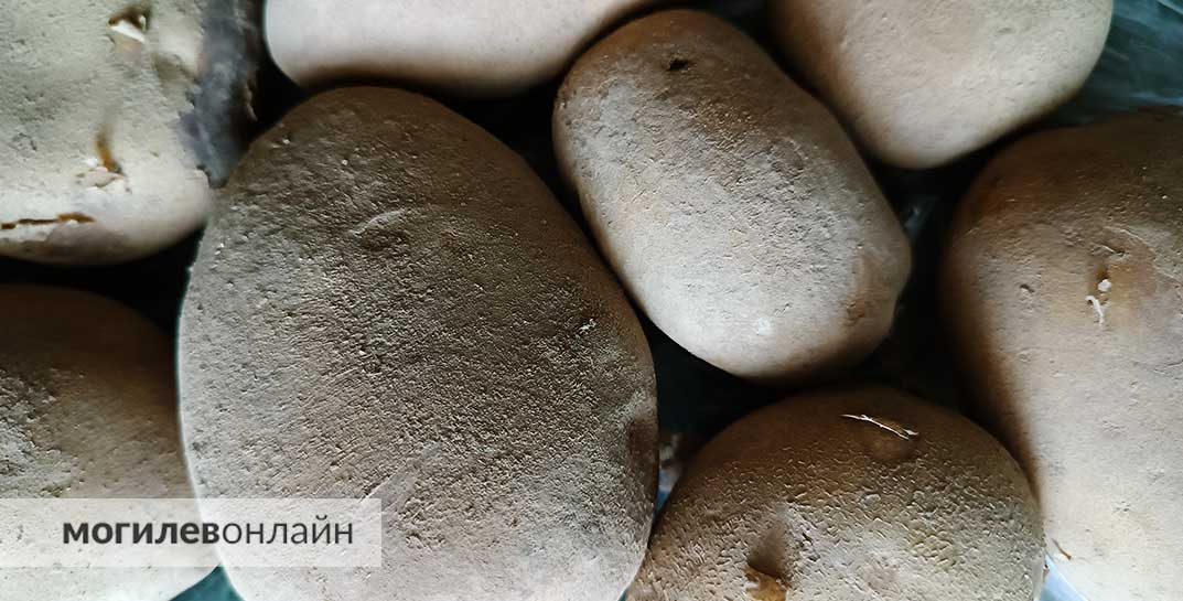 Два жителя Владивостока отравились насмерть испарениями картошки. Такое возможно?