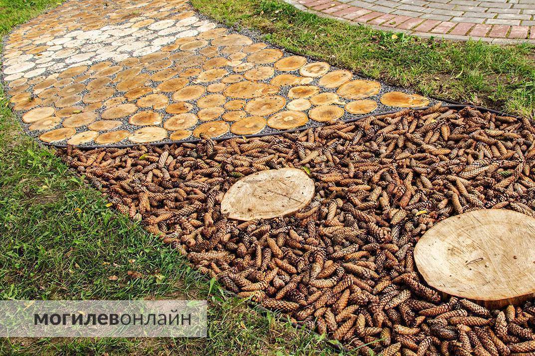 Прогуляться босиком по шишкам и гальке? Легко! В парке Подниколье появилась «Босоногая тропа здоровья»