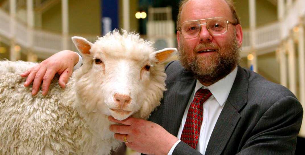 Ушел из жизни профессор Иэн Уилмут — ученый, который клонировал овечку Долли