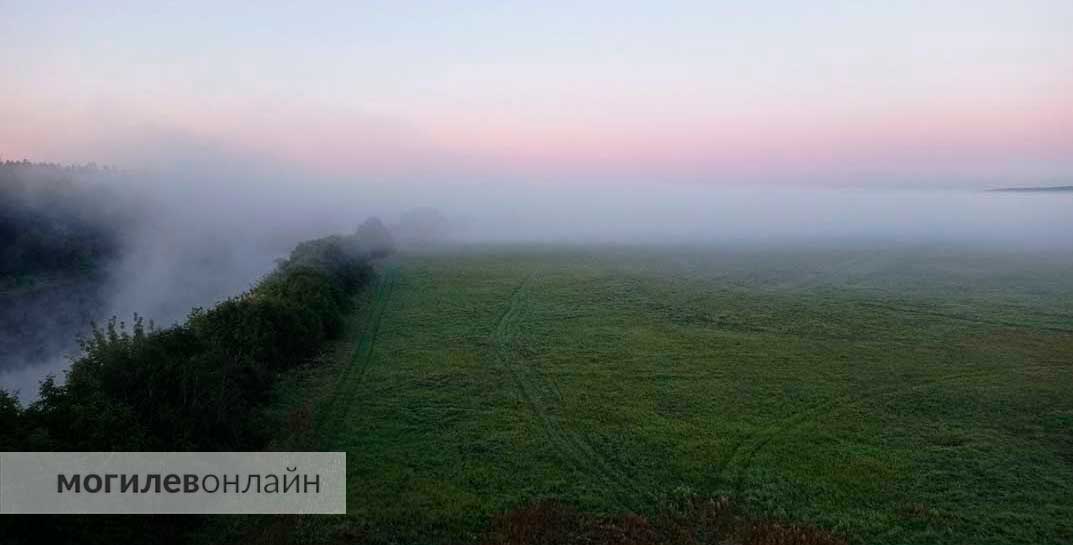 Посмотрите, как красивы осенние туманы по утрам