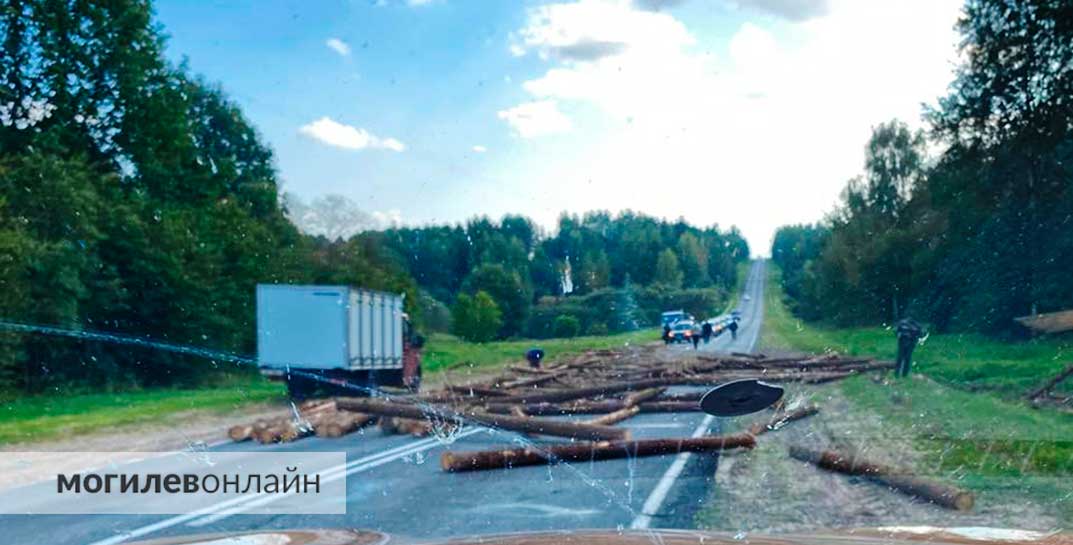 На трассе Шклов-Могилев перевернулся лесовоз с грузом